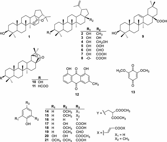 Fig. 1