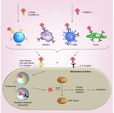 Figure 4. 