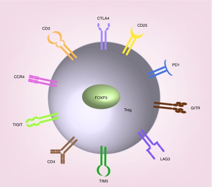 Figure 1. 