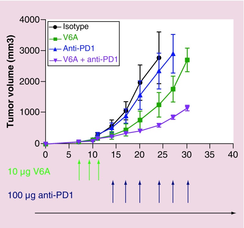 Figure 5. 