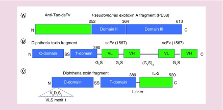 Figure 3. 