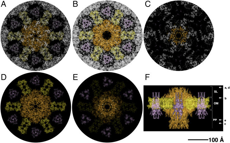 Fig. 3.