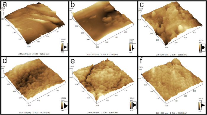 Figure 6