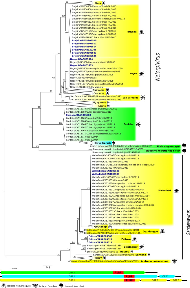 Fig. 2