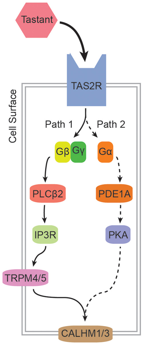 Figure 3.