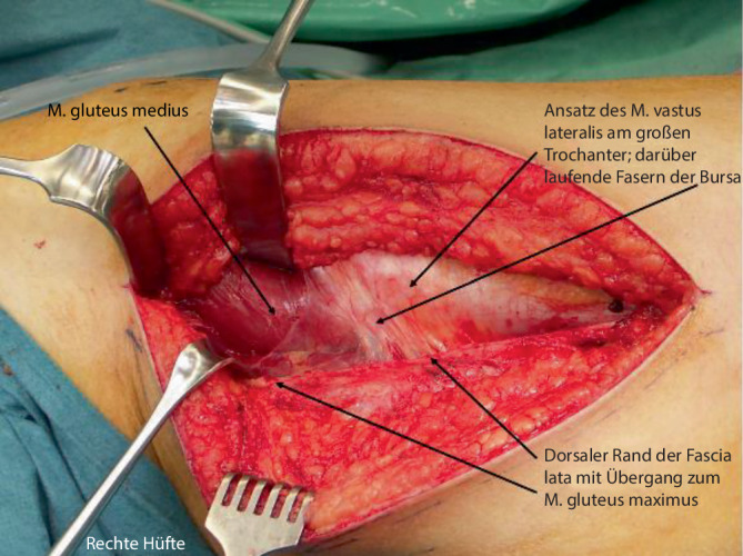 graphic file with name 64_2022_779_Fig9_HTML.jpg