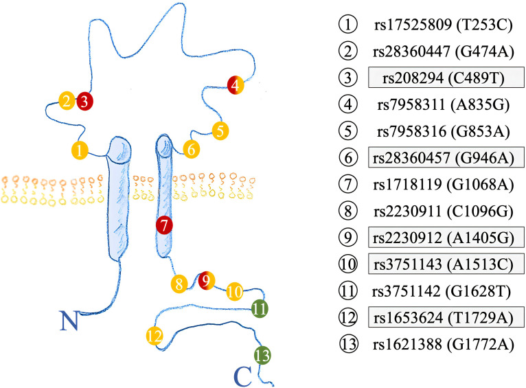 Figure 2