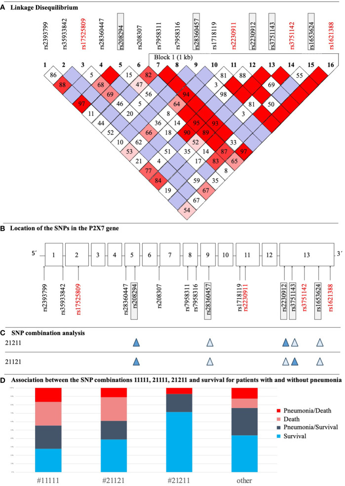 Figure 3