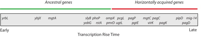 FIG 3 