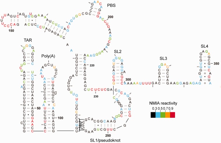 Figure 5.