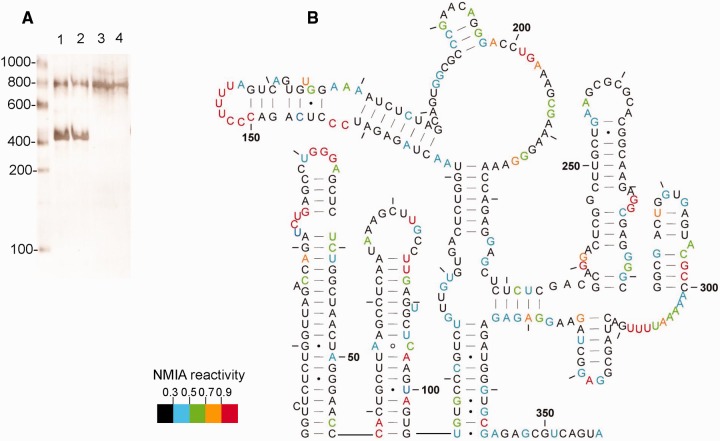 Figure 4.