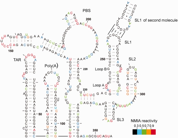 Figure 3.