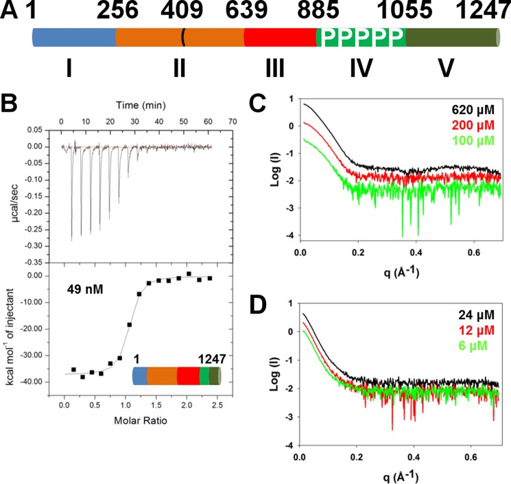 FIGURE 1.