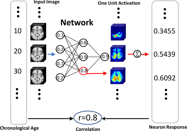 Figure 6: