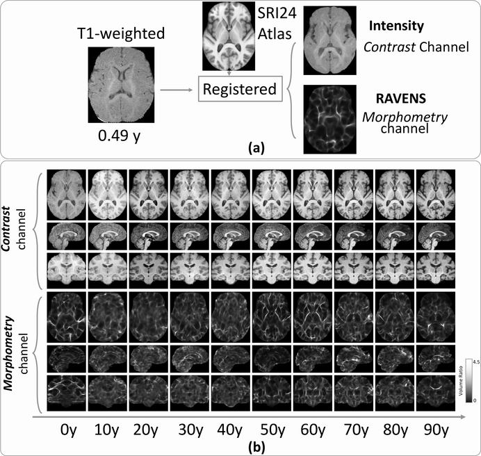 Figure 2: