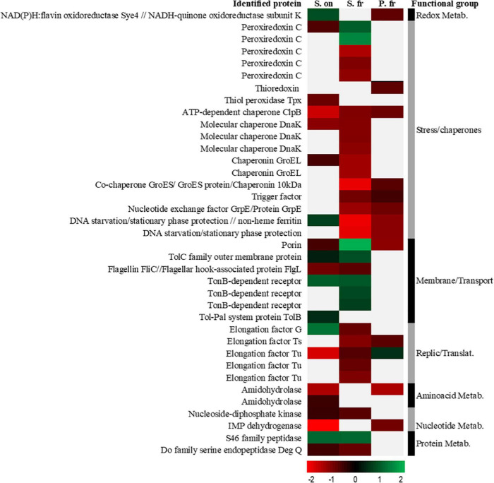 FIGURE 3