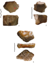 Figure 6