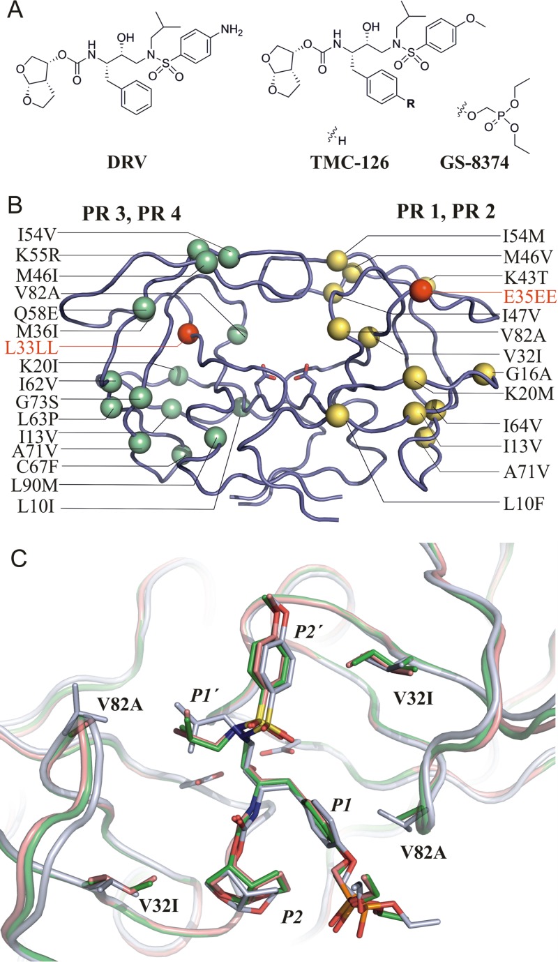 FIG 2