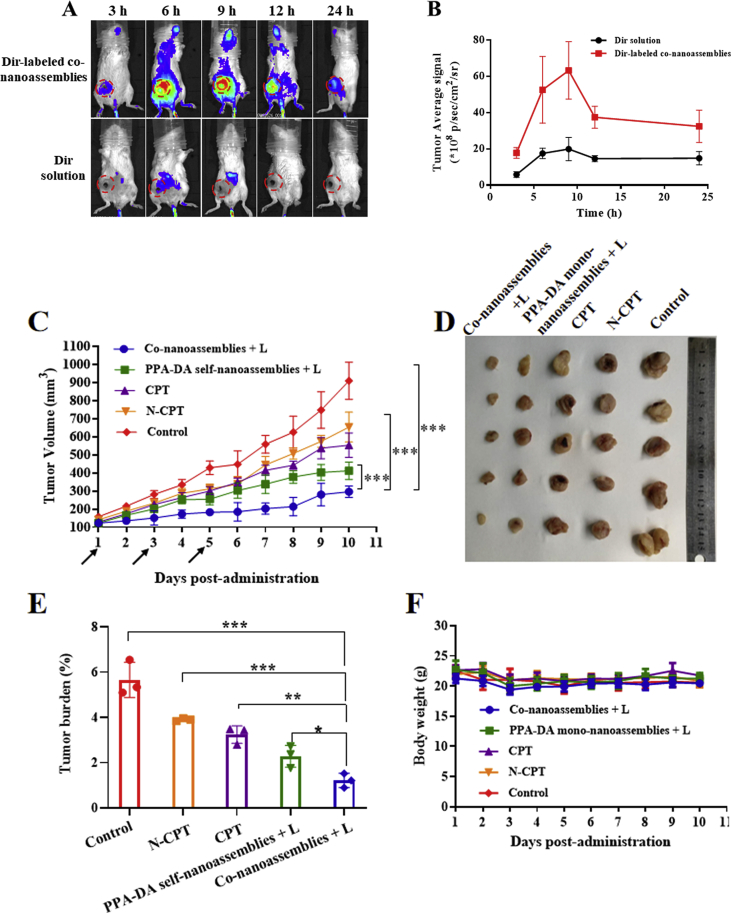 Figure 10