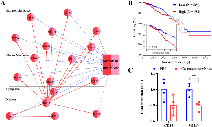 Figure 12