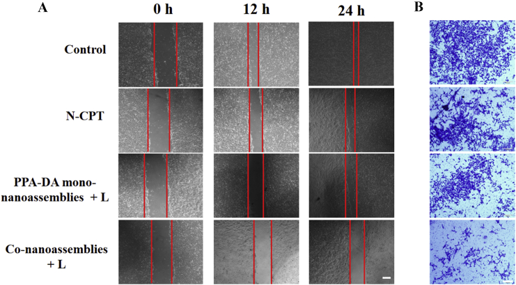 Figure 6