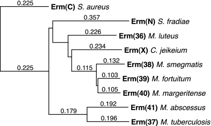 FIG. 5.