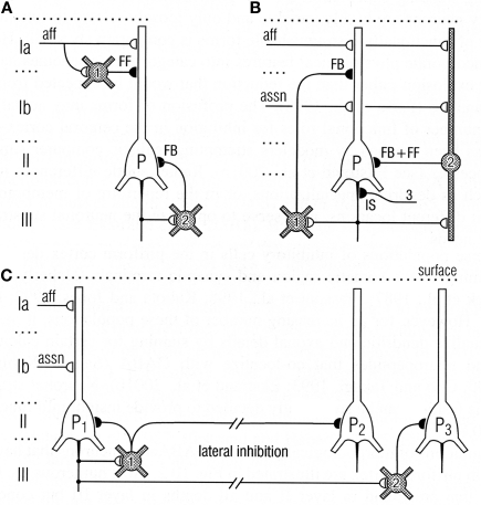 Figure 8