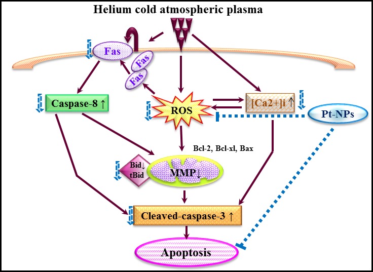 Figure 9