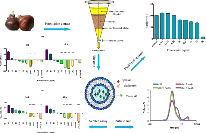 Graphical abstract