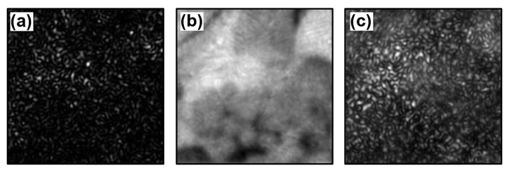 Fig. 13.