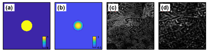 Fig. 12.