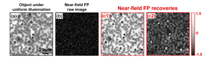 Fig. 8.