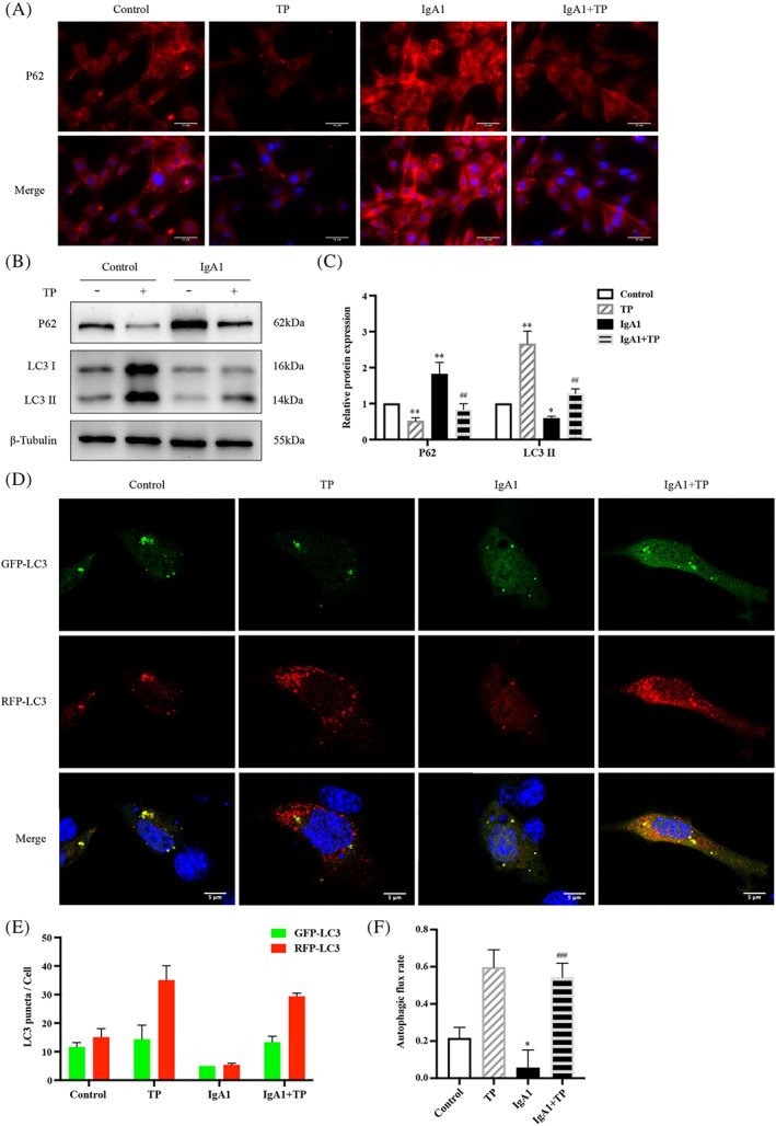 FIGURE 3