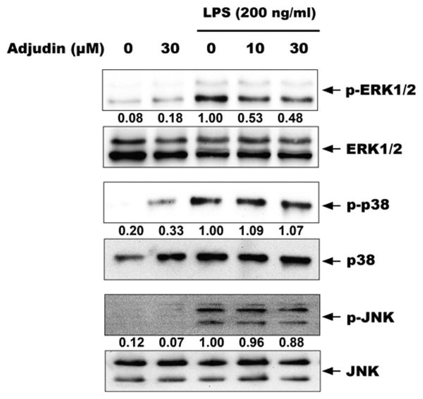 Fig. 4