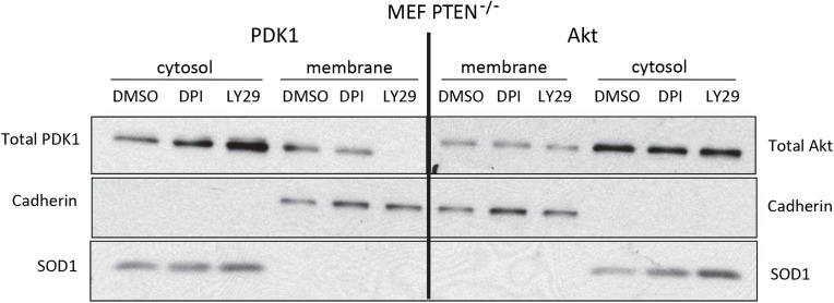 Fig 8