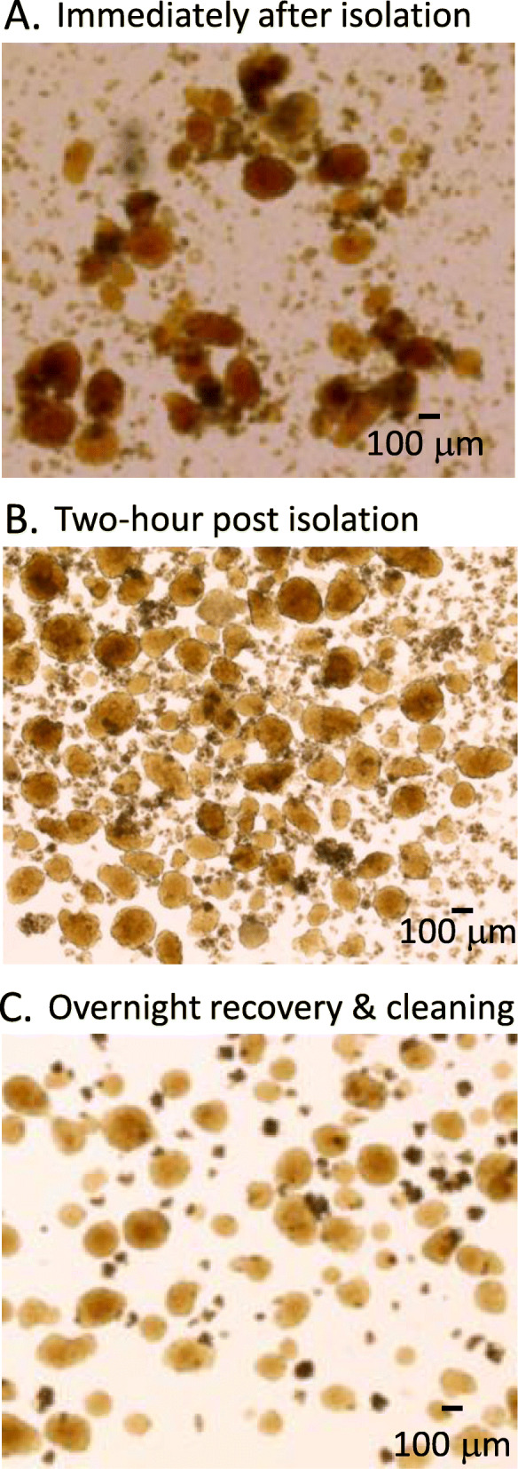 Fig. 5