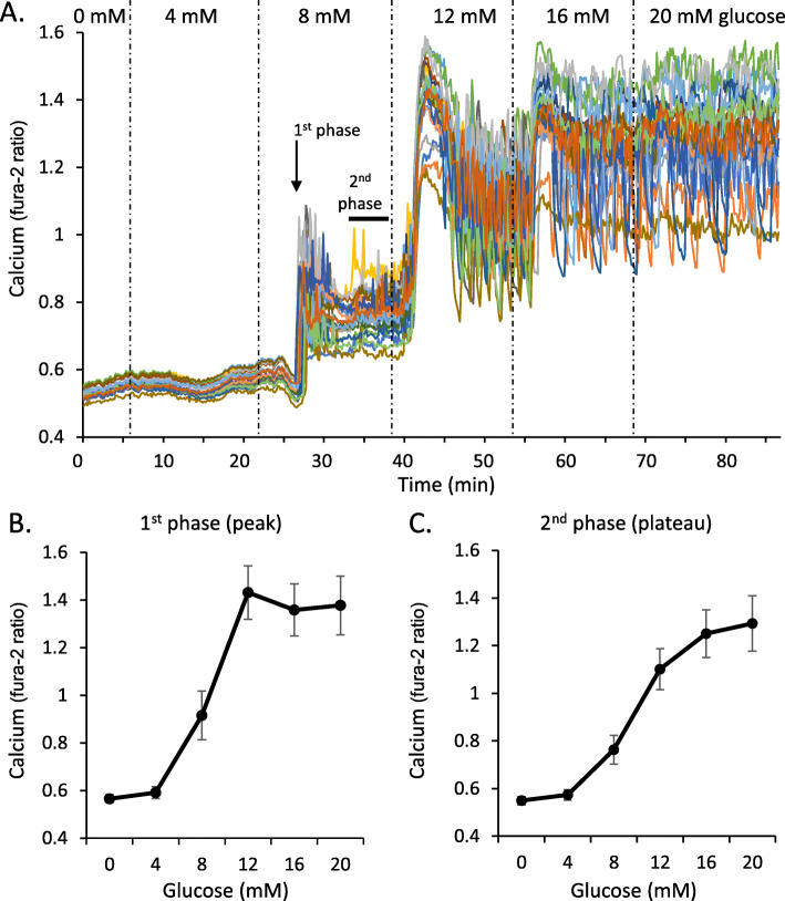 Fig. 8