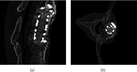 Figure 12