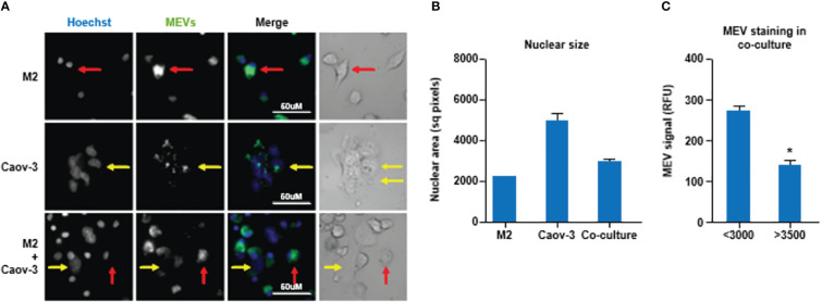 Figure 3