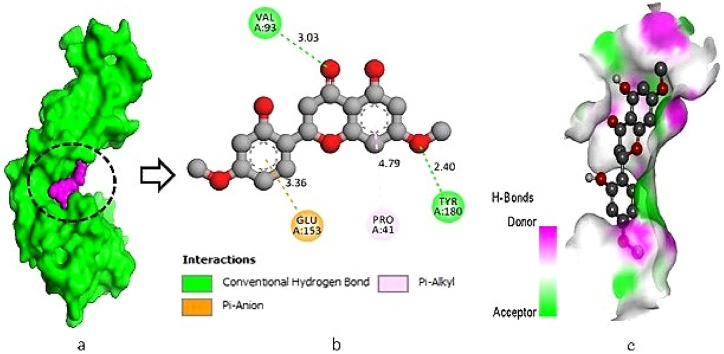 Fig. 2