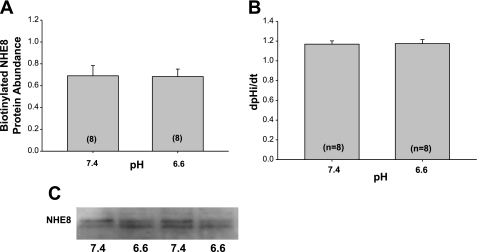 Fig. 8.