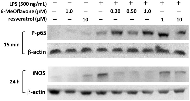 Fig 5