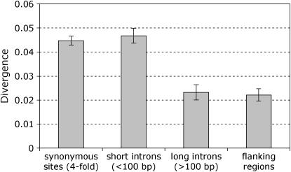 Figure 1.—