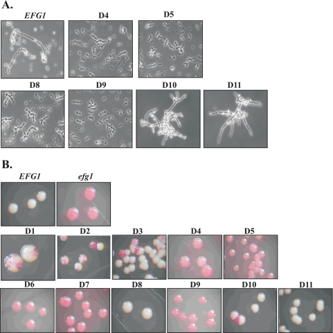 FIG. 4.