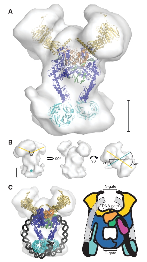 Figure 3.