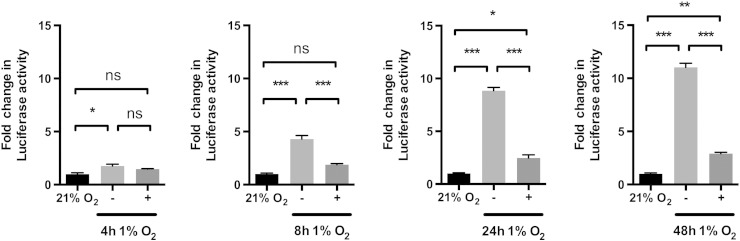 Figure 5