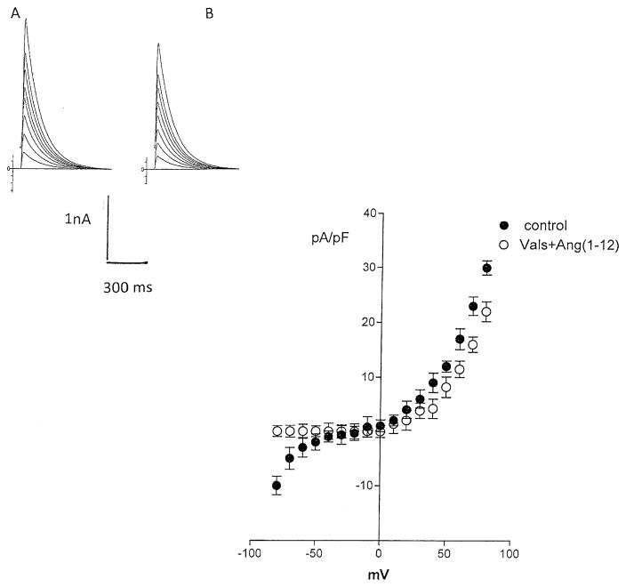 Fig. 10