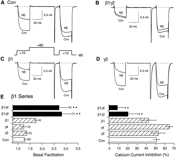 Fig. 1.