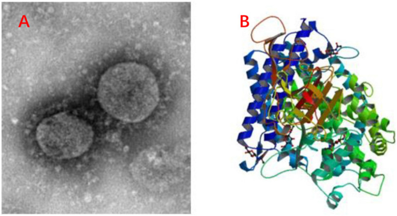 FIGURE 4