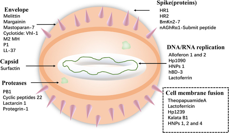 FIGURE 3